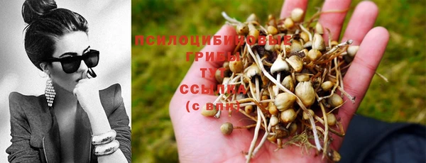 эйфоретик Михайловка
